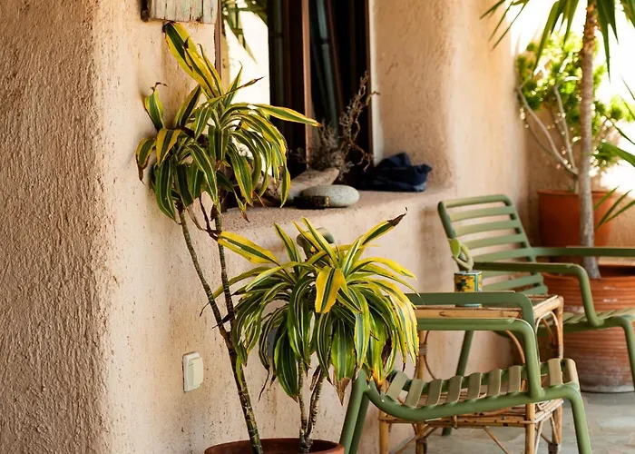 Magaya * Parászporosz